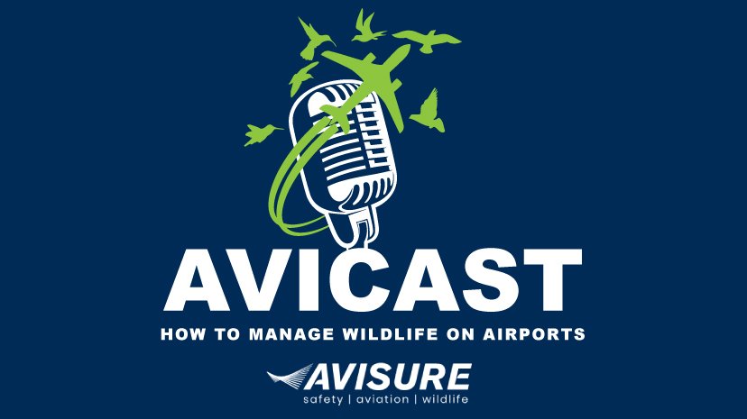 Avicast Logo - Avisure's podcast - Wildlife Hazard Management