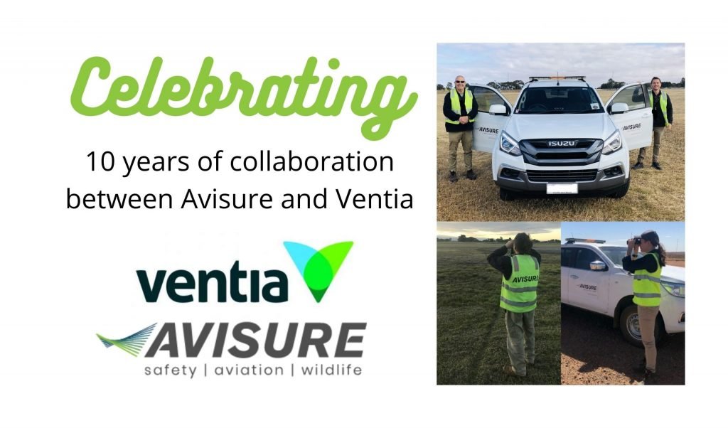 Celebrating 10yrs Anniversary collaborating between Avisure and Ventia