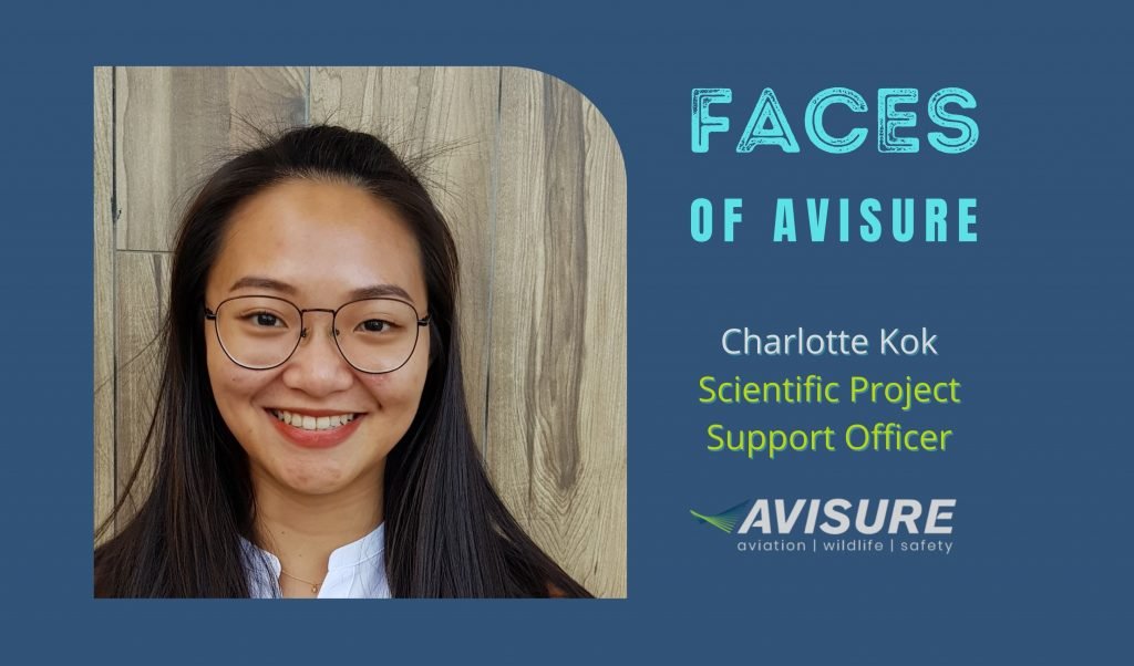 Faces of Avisure - Charlotte Kok
