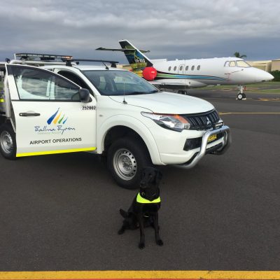 Mamba in front of Ballina Ops Vehicle and Plane at Ballina