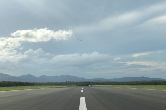 bird hovering about runway Rocky1