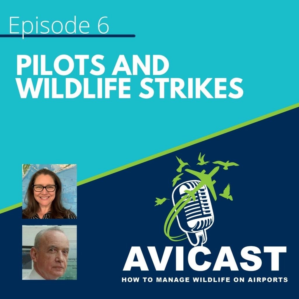 Pilots and Wildlife Strikes