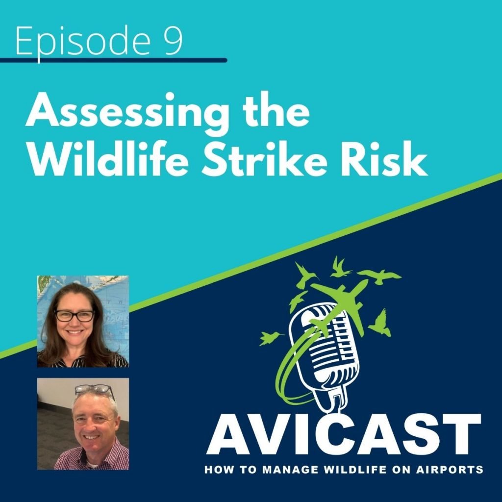 Avicast - Episode 9 - Assessing the Wildlife Strike Risk