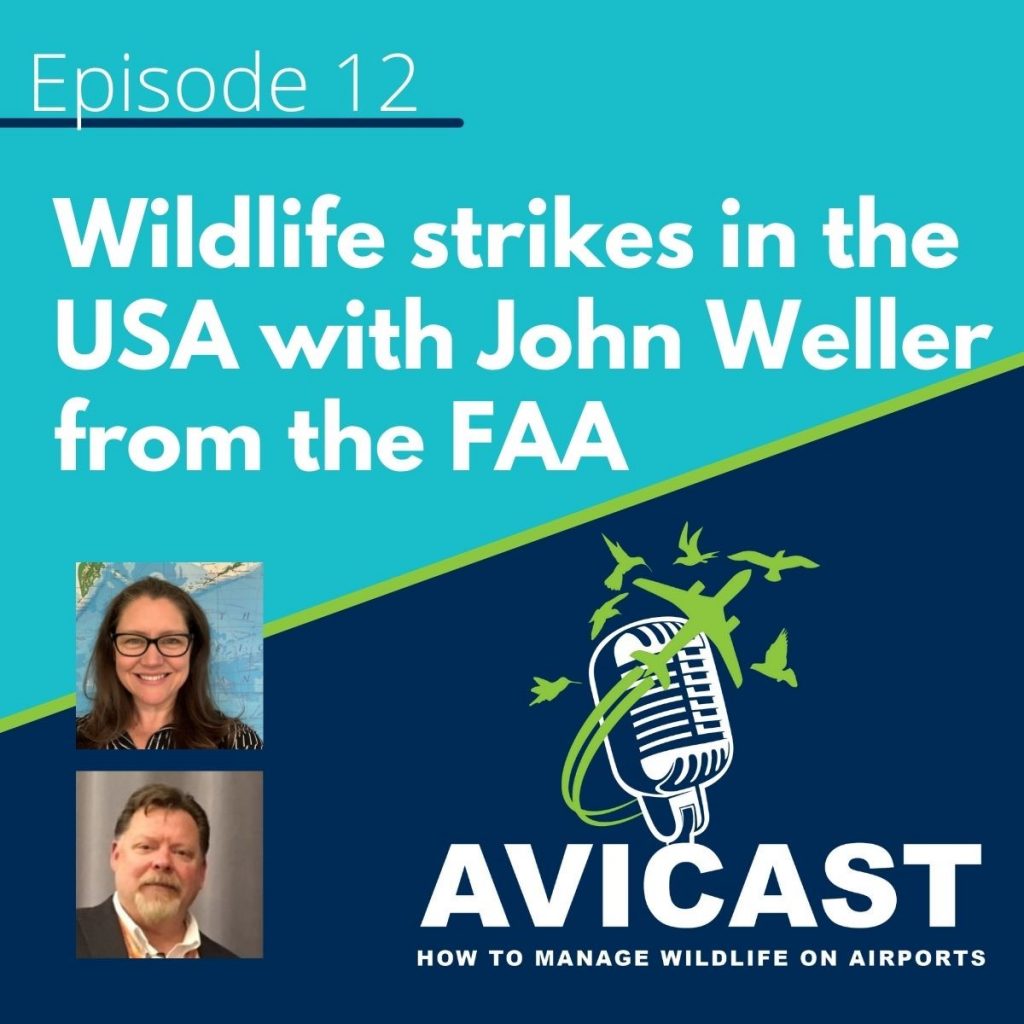 Avicast - Wildlife Strikes in the USA with John Weller from the FAA
