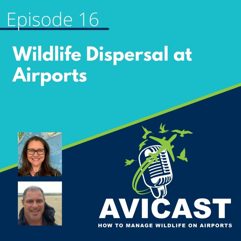 Wildlife Dispersal at Airports - Avicast